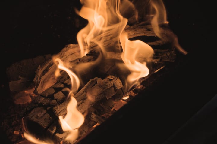 Logs burning in the firebox